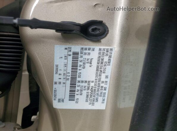 1FADP3F20HL337176 2017 FORD FOCUS Tan Շարժիչի բաժամունքի տեսք