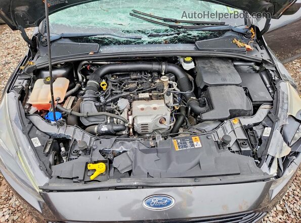 1FADP3FEXJL298354 2018 FORD FOCUS Gray Սալոնի հետևի տեսք
