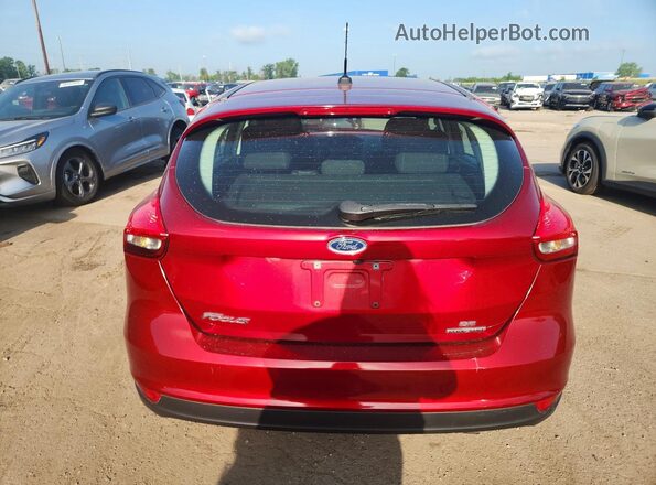 1FADP3K27GL359308 2016 FORD FOCUS Красный Вид сзади