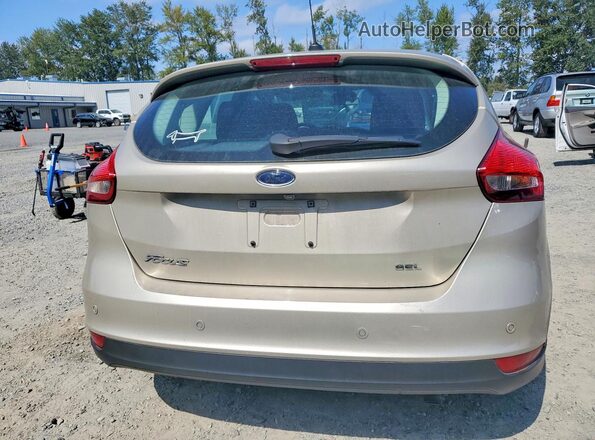 1FADP3M23HL246342 2017 FORD FOCUS Gold Հետևի տեսք