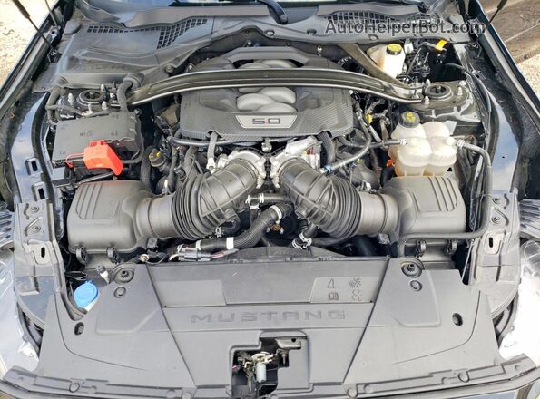 1FAGP8FF1R5122201 2024 FORD MUSTANG Черный Вид задней части салона