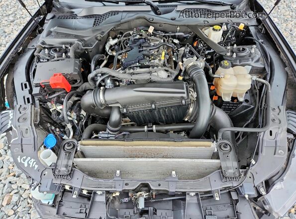 1FAGP8UH3R5120003 2024 FORD MUSTANG Black Սալոնի հետևի տեսք