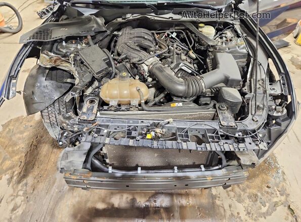 1FATP8EM0G5318237 2016 FORD MUSTANG Серый Вид задней части салона