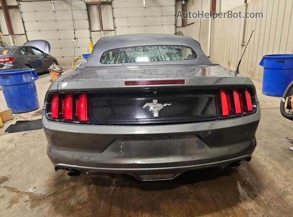 1FATP8EM0G5318237 2016 FORD MUSTANG Серый Вид сзади