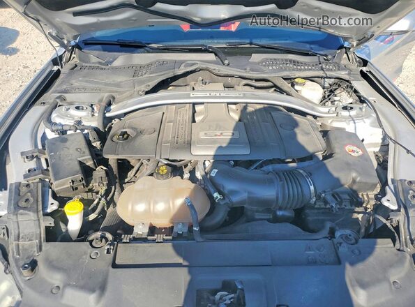 1FATP8FF0K5163665 2019 FORD MUSTANG Silver Вид задньої частини салону