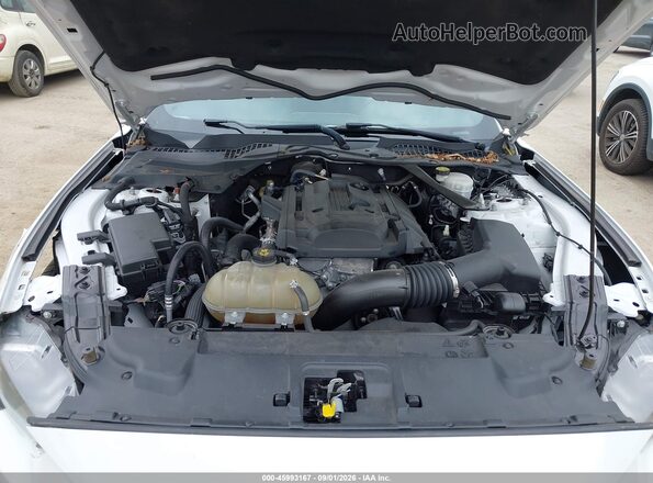 1FATP8UH7L5135688 2020 FORD MUSTANG Белый Вид сзади