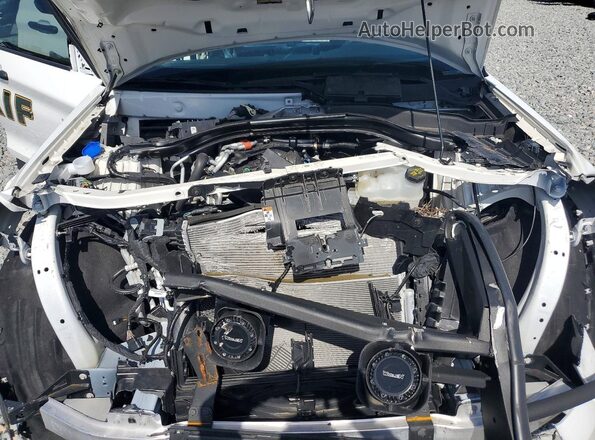 1FM5K8AB9RGA59420 2024 FORD EXPLORER White Вид задньої частини салону