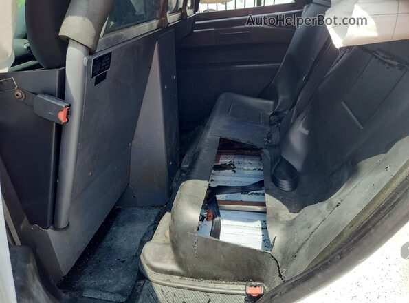 1FM5K8AC6LGC12867 2020 FORD EXPLORER Белый Вид задней части салона