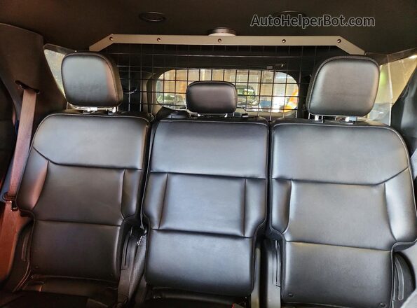 1FM5K8AWXMNA19113 2021 FORD EXPLORER Blue Rear seats view