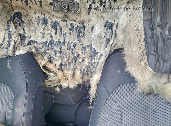 1FM5K8DH9HGA33110 2017 FORD EXPLORER Burn Հետևի նստատեղերի տեսք