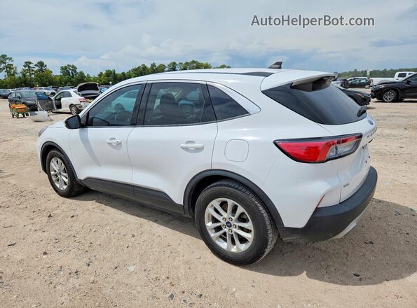 1FMCU0G69LUC02646 2020 FORD ESCAPE White Trasero izquierdo