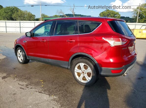 1FMCU0G76GUA23219 2016 FORD ESCAPE Red Tył prawy