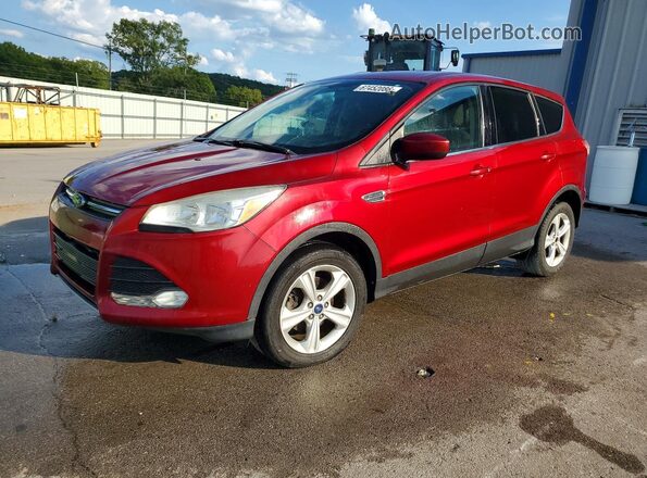 1FMCU0G76GUA23219 2016 FORD ESCAPE Red Tył lewy