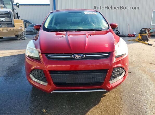1FMCU0G76GUA23219 2016 FORD ESCAPE Red Widok z tyłu