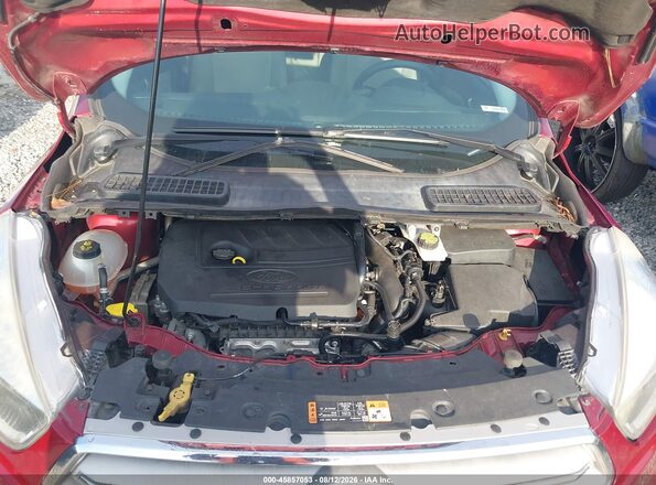 1FMCU0GD5JUB85887 2018 FORD ESCAPE Red Հետևի տեսք