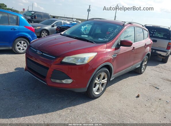 1FMCU0GX6GUB71032 2016 FORD ESCAPE Burgundy Przód lewy