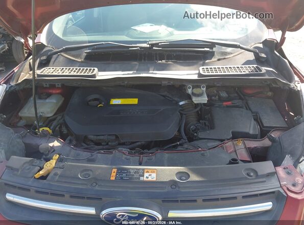 1FMCU0GX6GUB71032 2016 FORD ESCAPE Burgundy Widok z tyłu