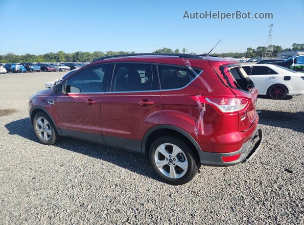 1FMCU0GX9GUB89816 2016 FORD ESCAPE Red უკანა მარცხენა