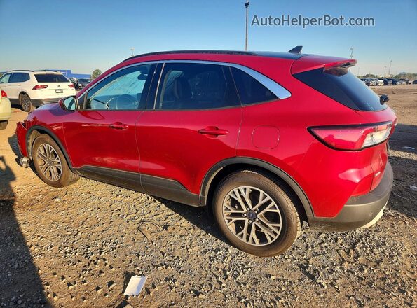 1FMCU0H62LUC30660 2020 FORD ESCAPE Красный Задняя левая четверть