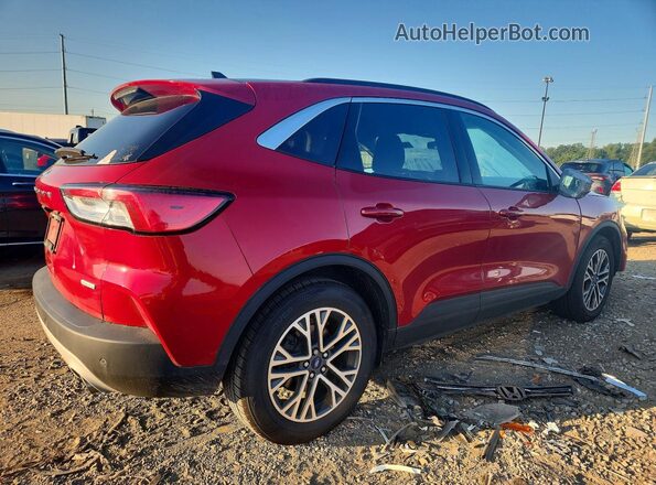 1FMCU0H62LUC30660 2020 FORD ESCAPE Красный Задняя правая четверть