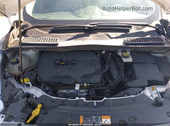 1FMCU0HD0KUC06791 2019 FORD ESCAPE White Вид ззаду