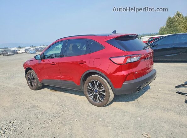 1FMCU9G63NUB37591 2022 FORD ESCAPE Красный Задняя левая четверть