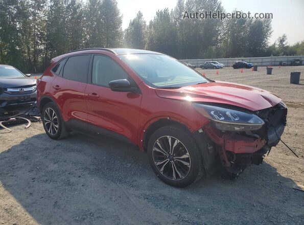 1FMCU9G63NUB37591 2022 FORD ESCAPE Красный Передняя правая четверть