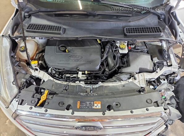 1FMCU9GD7JUB03033 2018 FORD ESCAPE Белый Вид задней части салона
