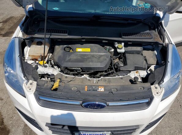 1FMCU9GX0GUB86422 2016 FORD ESCAPE Белый Вид задней части салона