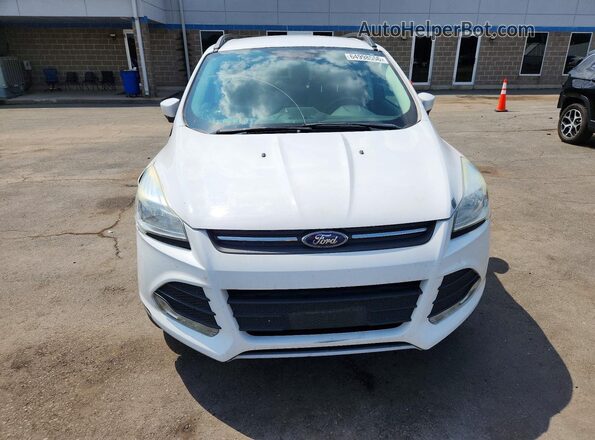 1FMCU9GX1GUB02110 2016 FORD ESCAPE White წინა ხედი