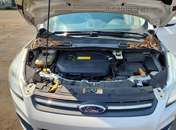 1FMCU9GX1GUB02110 2016 FORD ESCAPE White ძრავის განყოფილების ხედი