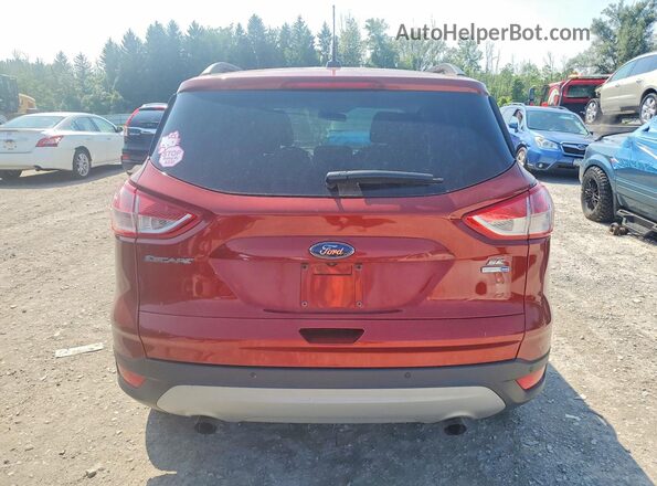 1FMCU9GX2GUB54863 2016 FORD ESCAPE Brown Widok z tyłu