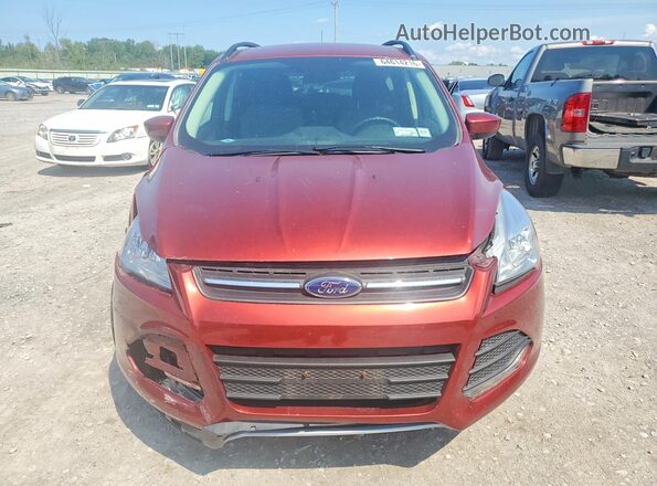 1FMCU9GX2GUB54863 2016 FORD ESCAPE Brown Widok z przodu