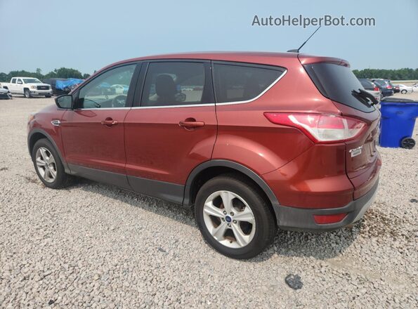 1FMCU9GX7GUB61551 2016 FORD ESCAPE Red უკანა მარცხენა