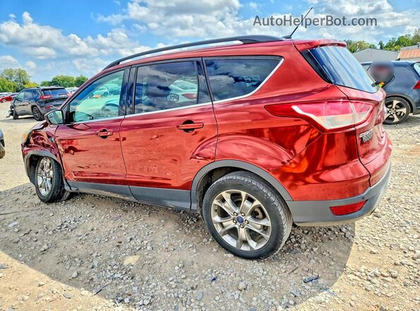1FMCU9GX8GUB93568 2016 FORD ESCAPE Red Հետևի ձախ