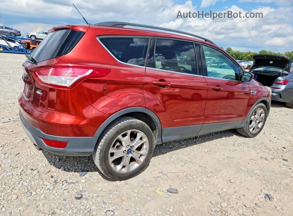 1FMCU9GX8GUB93568 2016 FORD ESCAPE Red Հետևի աջ