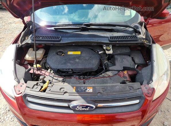 1FMCU9GX8GUB93568 2016 FORD ESCAPE Red Սալոնի հետևի տեսք