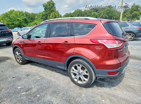1FMCU9J90GUB87242 2016 FORD ESCAPE Red Հետևի ձախ