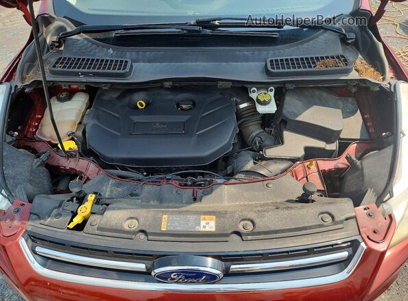 1FMCU9J90GUB87242 2016 FORD ESCAPE Red Շարժիչի բաժամունքի տեսք