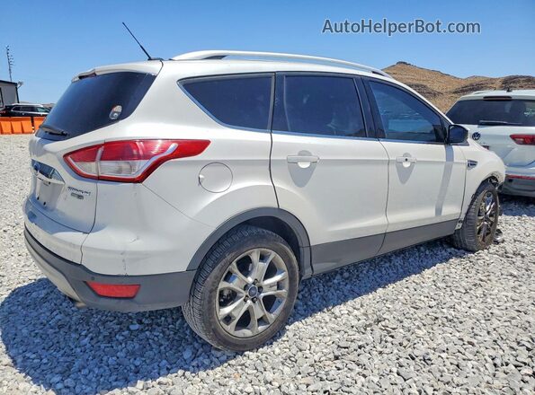 1FMCU9J99GUB60590 2016 FORD ESCAPE White Tył prawy