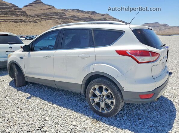 1FMCU9J99GUB60590 2016 FORD ESCAPE White Tył lewy