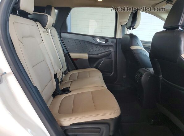 1FMCU9J9XLUC35582 2020 FORD ESCAPE White Widok tylnych siedzeń