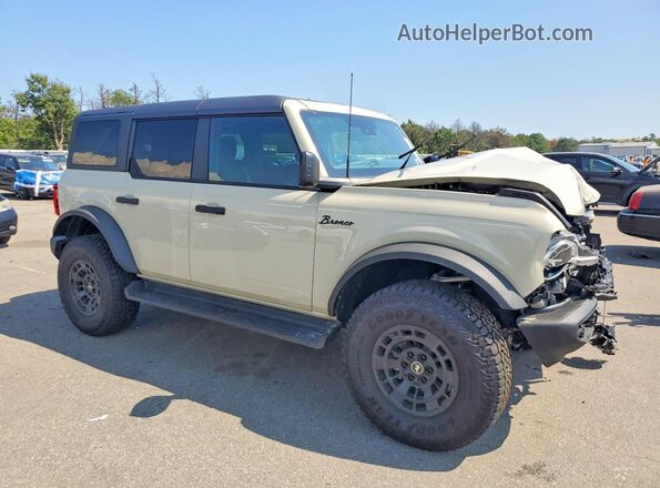 1FMDE7BH3SLB73717 2025 FORD BRONCO Tan Առջևի աջ