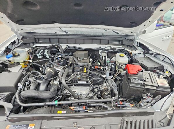 1FMDE8BH3RLA80907 2024 FORD BRONCO White Սալոնի հետևի տեսք
