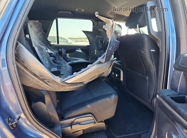 1FMJU1HT5KEA73041 2019 FORD EXPEDITION Blue Вид задньої частини салону
