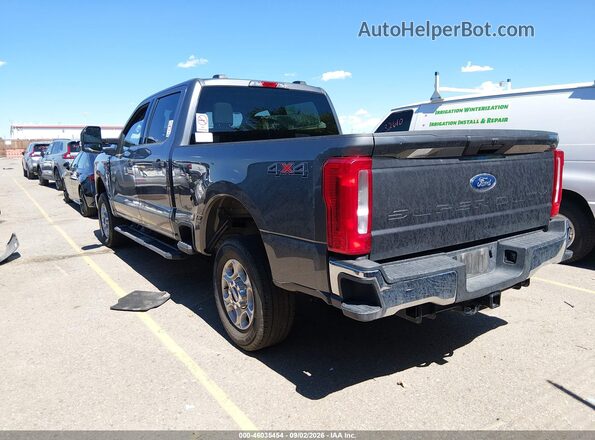 1FT7W2BN4SEC97233 2025 FORD F-250 Pewter Задняя левая четверть