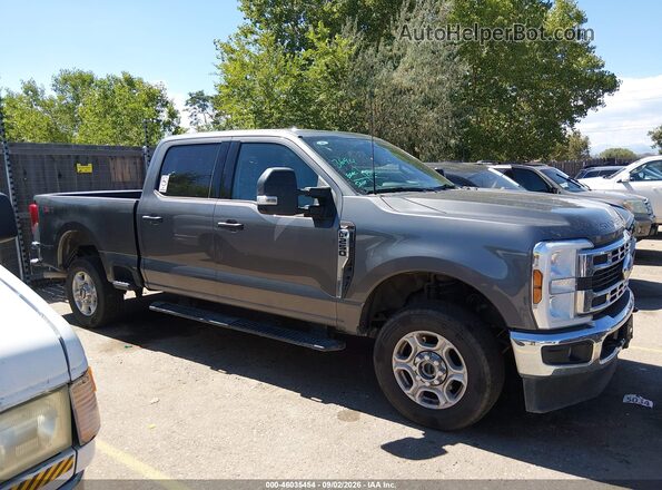 1FT7W2BN4SEC97233 2025 FORD F-250 Pewter Вид задней части салона