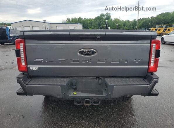1FT8W2BA8RED84872 2024 FORD F250 Gray Rear view