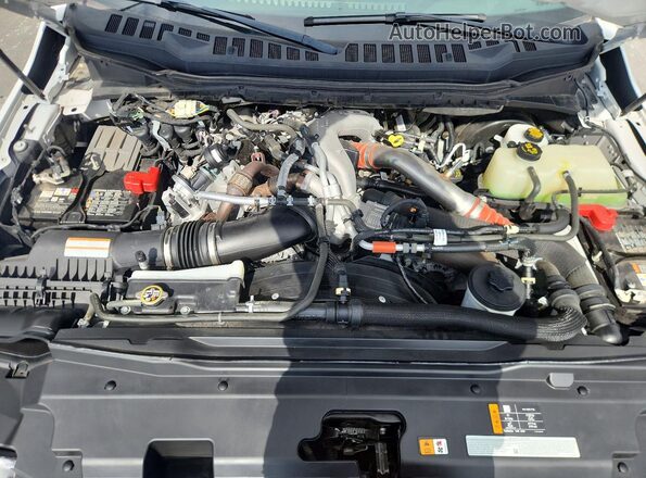 1FT8W2BM4REC01039 2024 FORD F250 White Вид задньої частини салону