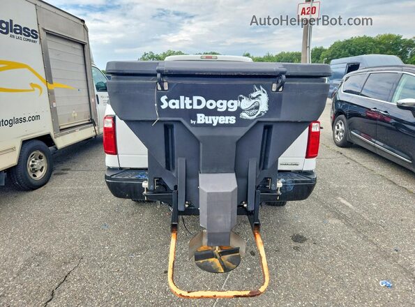 1FTBF2B6XGEB16663 2016 FORD F250 White Вид ззаду